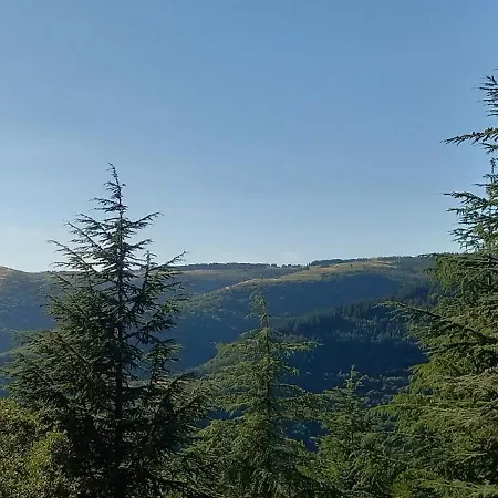 Villa Location Phoebe Dans La Propriete Elaia *