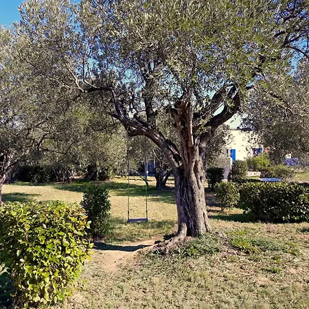 Location Phoebe Dans La Propriete Elaia Tourouzelle