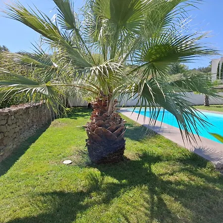 Location Phoebe Dans La Propriete Elaia Villa Tourouzelle