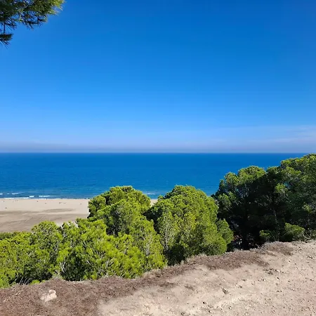 Location Phoebe Dans La Propriete Elaia