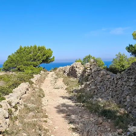 Location Phoebe Dans La Propriete Elaia Villa