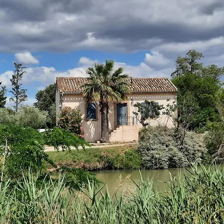 Location Phoebe Dans La Propriete Elaia Villa Tourouzelle