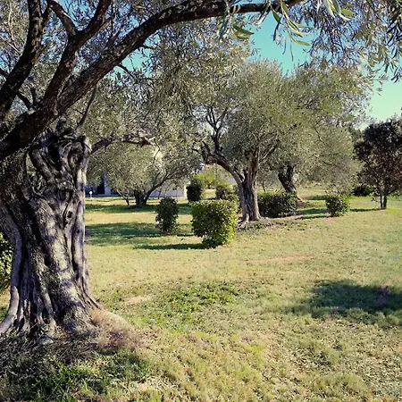 Location Phoebe Dans La Propriete Elaia Villa *
