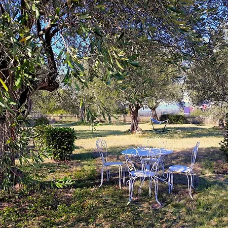 Location Phoebe Dans La Propriete Elaia