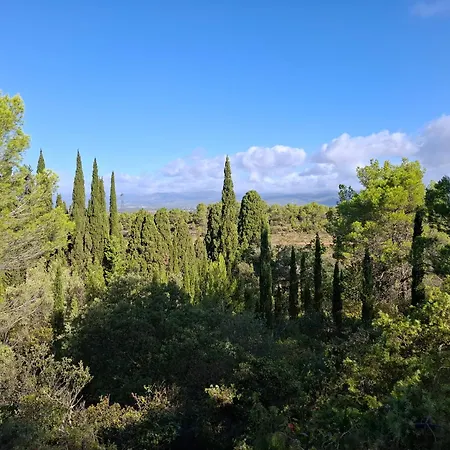 Location Phoebe Dans La Propriete Elaia Villa Tourouzelle