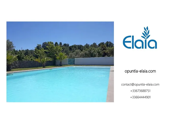 Villa Location Phoebe Dans La Propriete Elaia