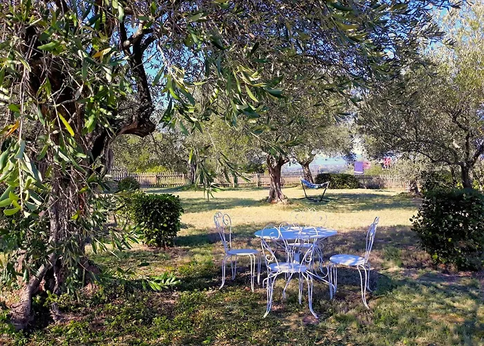 Location Phoebe Dans La Propriete Elaia