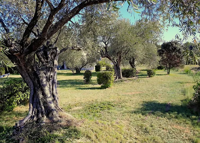 Location Phoebe Dans La Propriete Elaia Villa *
