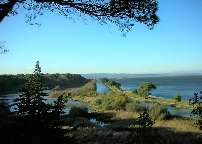 Location Phoebe Dans La Propriete Elaia Tourouzelle