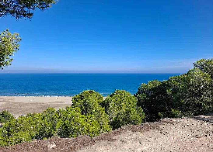 Location Phoebe Dans La Propriete Elaia