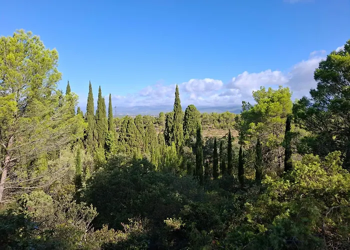 Villa Location Phoebe Dans La Propriete Elaia *
